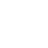 Nextstarter Logo